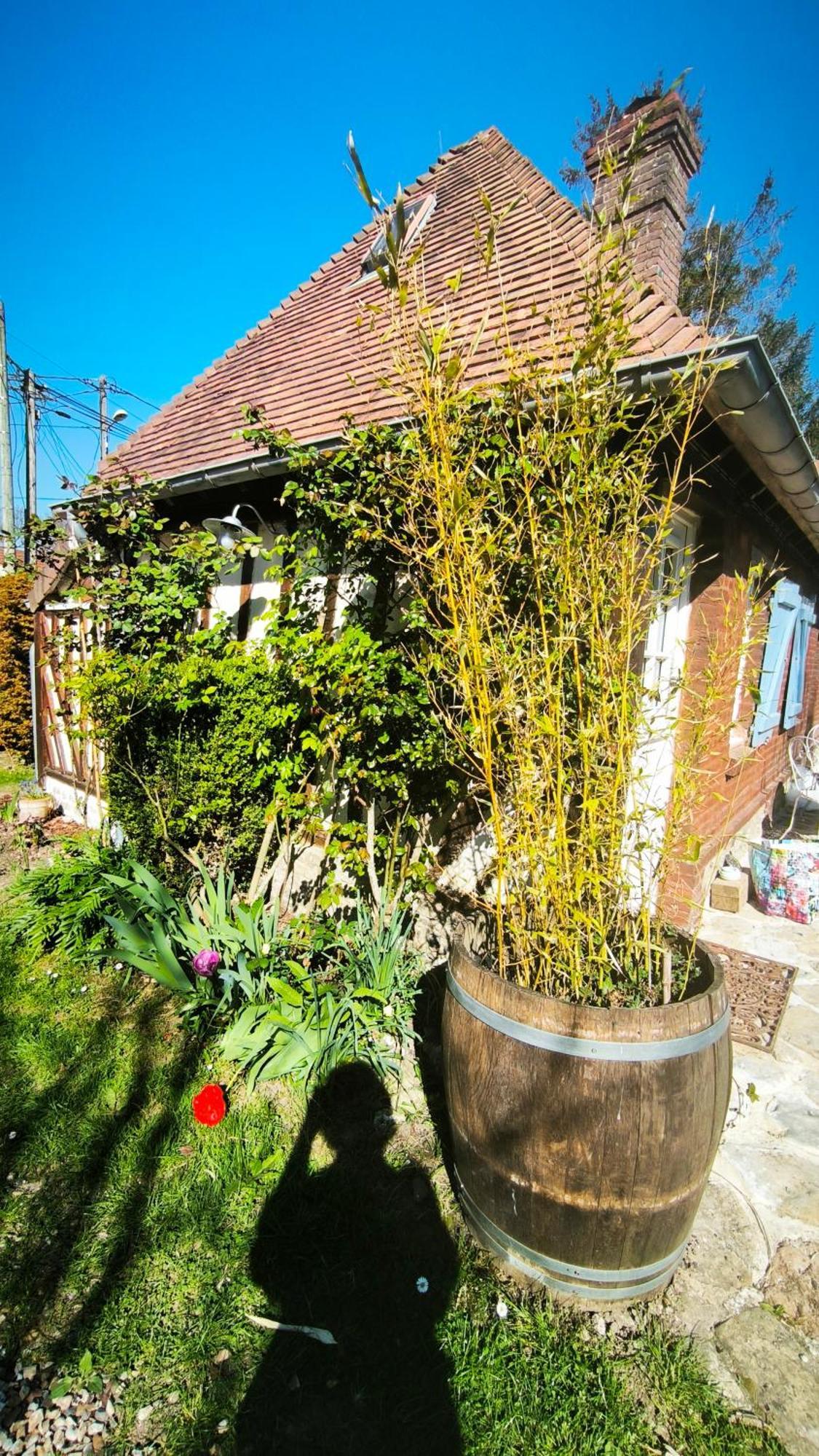 La Longere D'Auberville Buitenkant foto